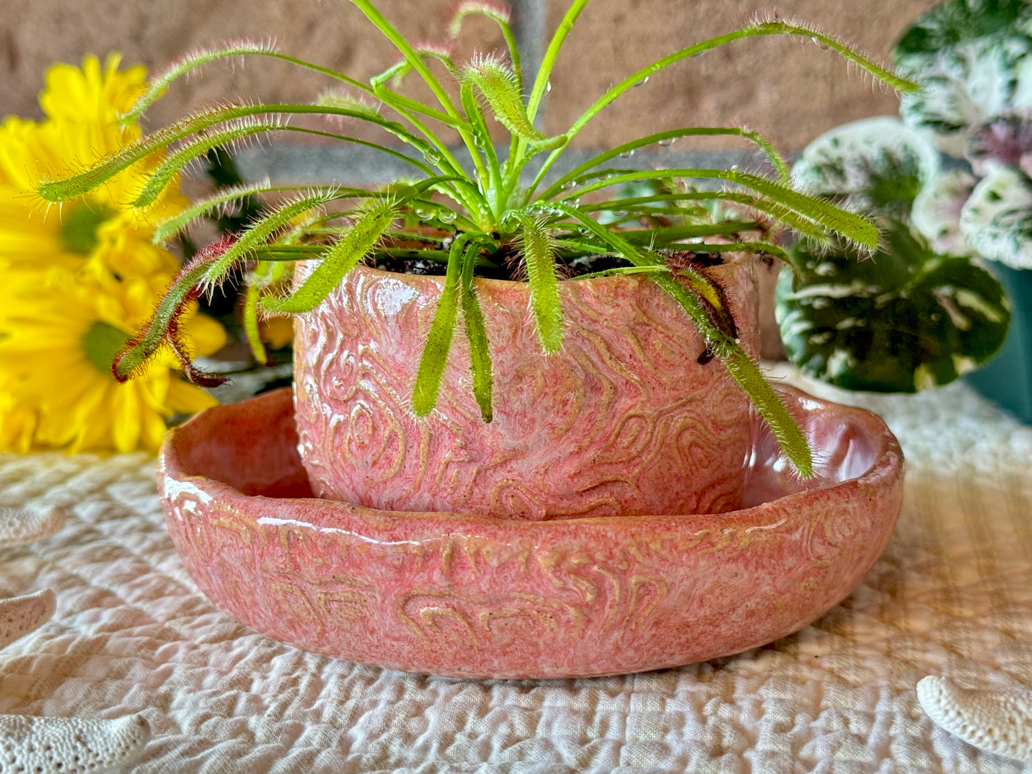 Handmade Pottery Planter / Pot